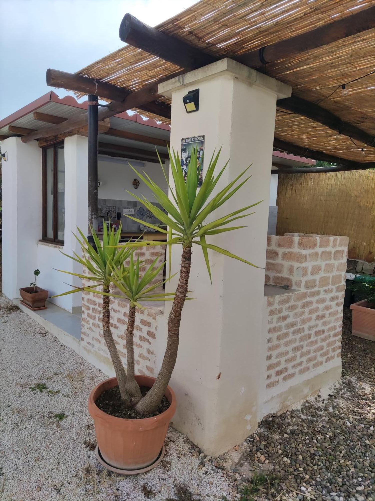 Villa Giulia B&B 卡斯特拉纳格罗泰 外观 照片