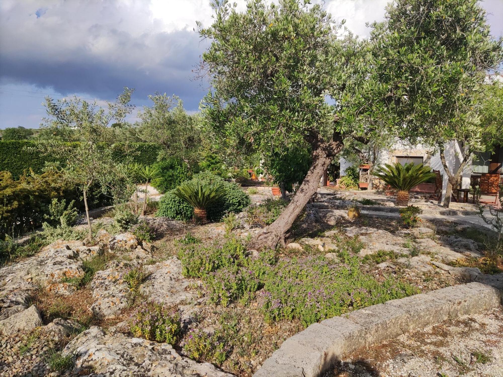 Villa Giulia B&B 卡斯特拉纳格罗泰 外观 照片